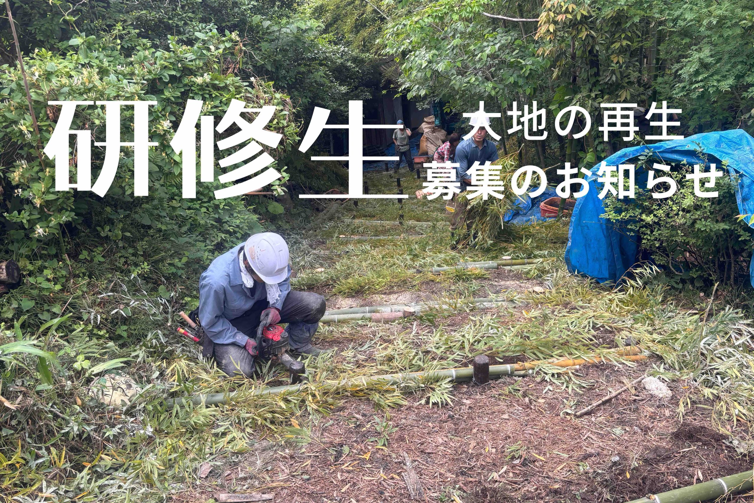 大地さん制作依頼 大西 雅文 赤丹波寄土造茶盌 (OM88 ) | ギャラリーラボ